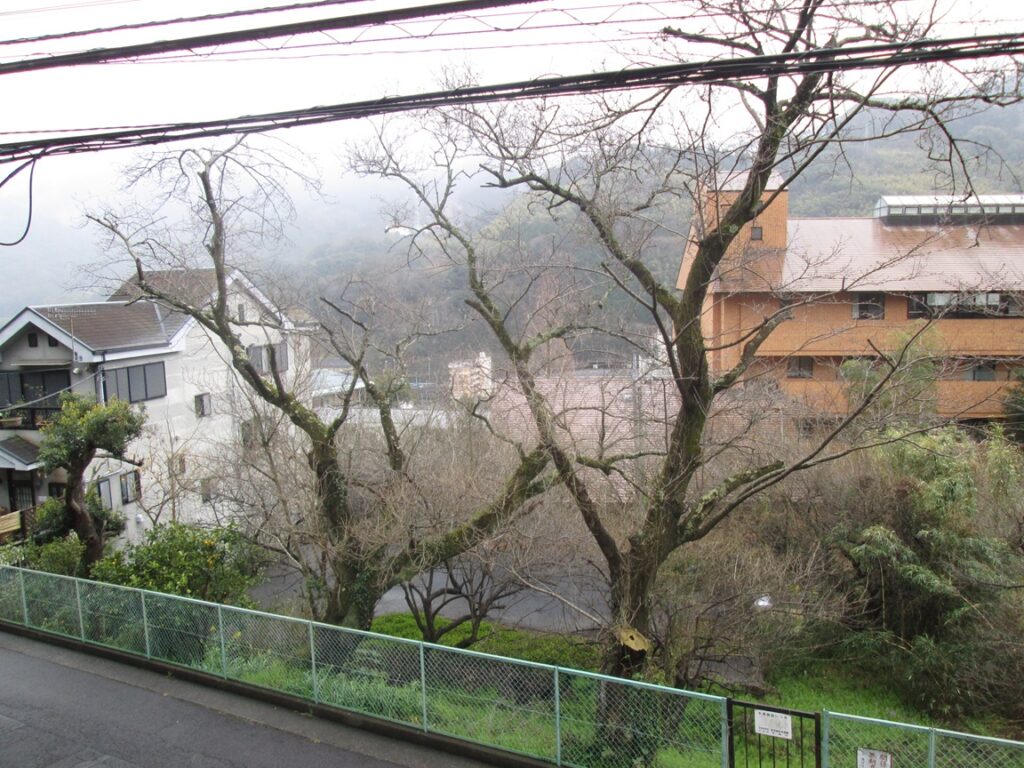 リビングからの眺望①