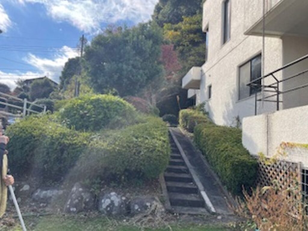 庭からのアプローチ